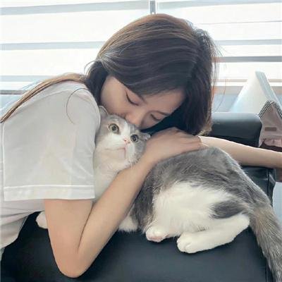 迷案追踪