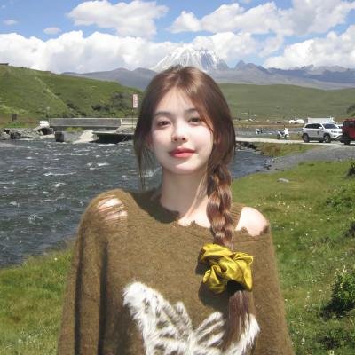 泽西海岸凶鲨案